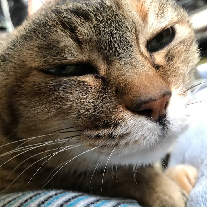 Fda68b85 10e5 44ca b338 1ff1422ee7d9 1525311419758