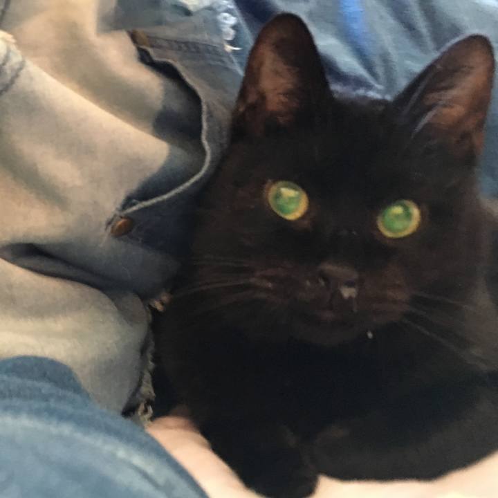 Fda6a47c e7ec 479b 895b 1d31b2678b27 1534418855504