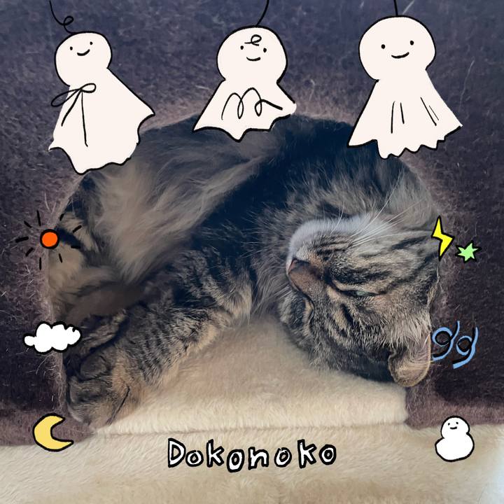 Fda6a86e c096 4327 9b57 5c0da4c57391 1749105666205