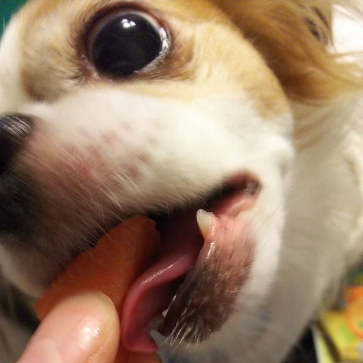 Fda6afb6 ea50 41cf b9d2 e8fd4e509df1 1686750887642