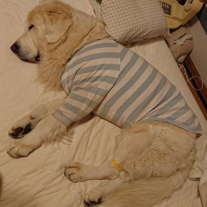 Fda6e76c df7a 4279 b11f f2d0a8019dd6 1576245314688