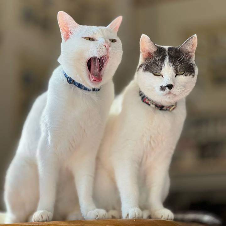 Fda6fbef 9503 488f 82a6 518ae2a3ea8e 1732498286188