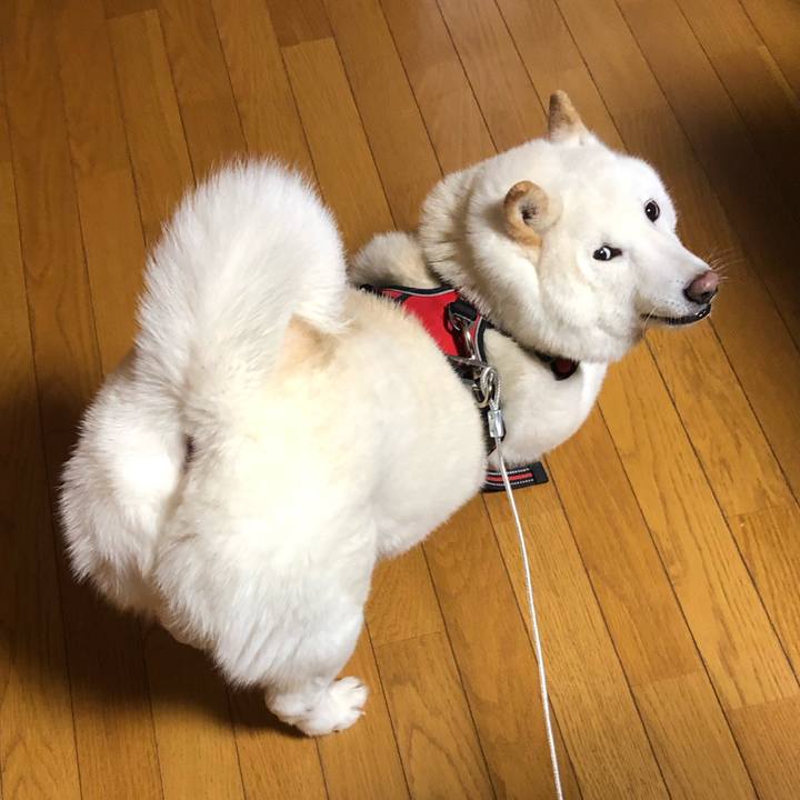 Fda6fdb5 e761 402d 98dd 4b81252cbfdb 1609921903784