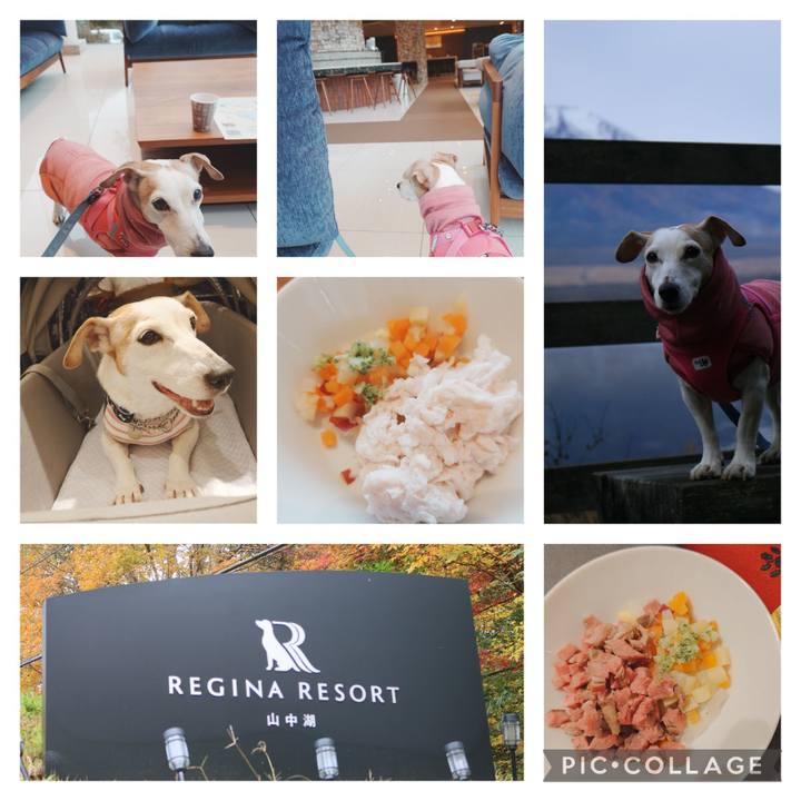 Fda70d37 f056 46f0 996c 90abd8e6eb56 1762321534530