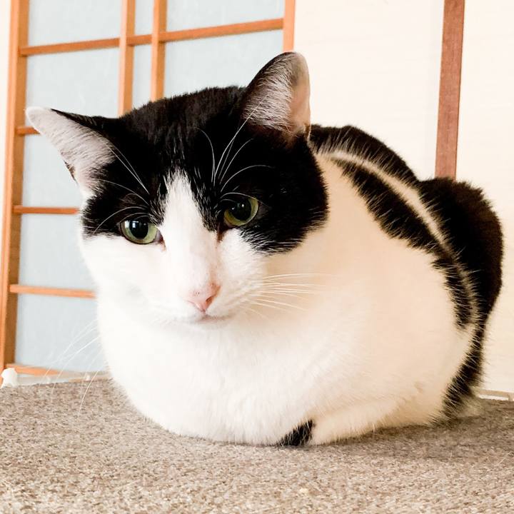 Fda740eb 6618 4a5a b22b faecc81d4aa1 1546480872714