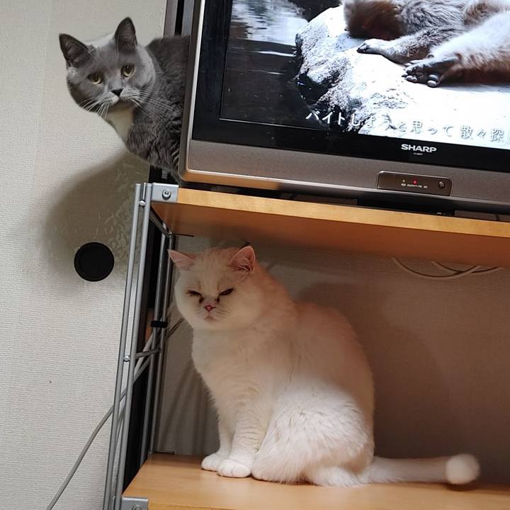 Fda7b06c 34d0 4988 b57b 960e98e10da5 1640899471245