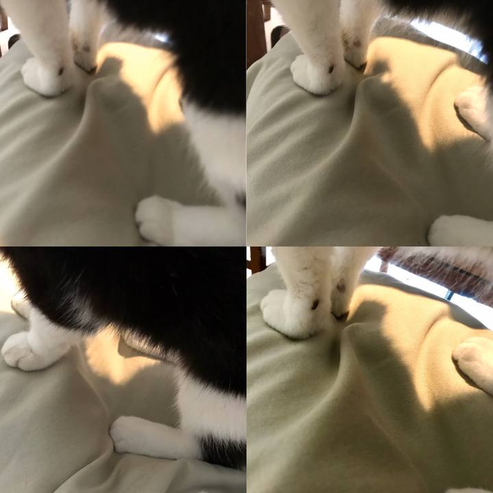 Fda7bf0d 2b35 46cc b2bc fa84a6ff9406 1571668102601