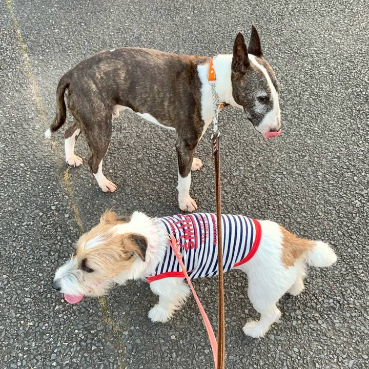 Fda7e7aa 3ee8 4323 8415 fa22f30c0da5 1623358952850