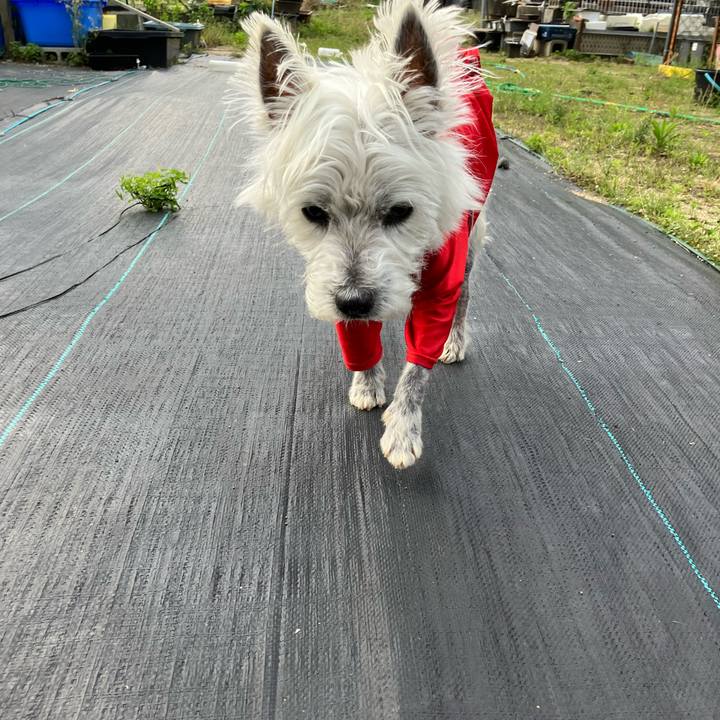 Fda80d34 1525 42b7 b791 0ec465fdca00 1686049416436