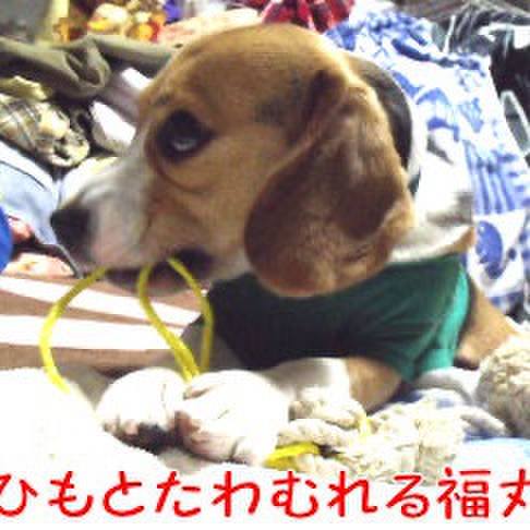 Fda851dc a476 45c4 9c6d 4a1a3f614db9 1713221422609