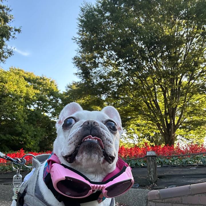 Fda8a693 73e3 4a1f a443 ad68ec668f32 1757209062945