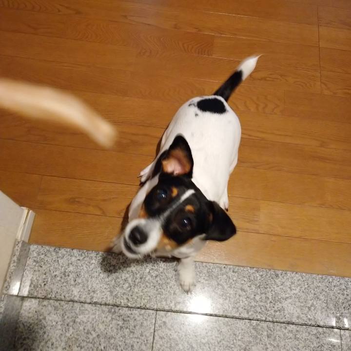 Fda8a7ba dad4 4e84 ba46 5f82cf66a870 1635476134921