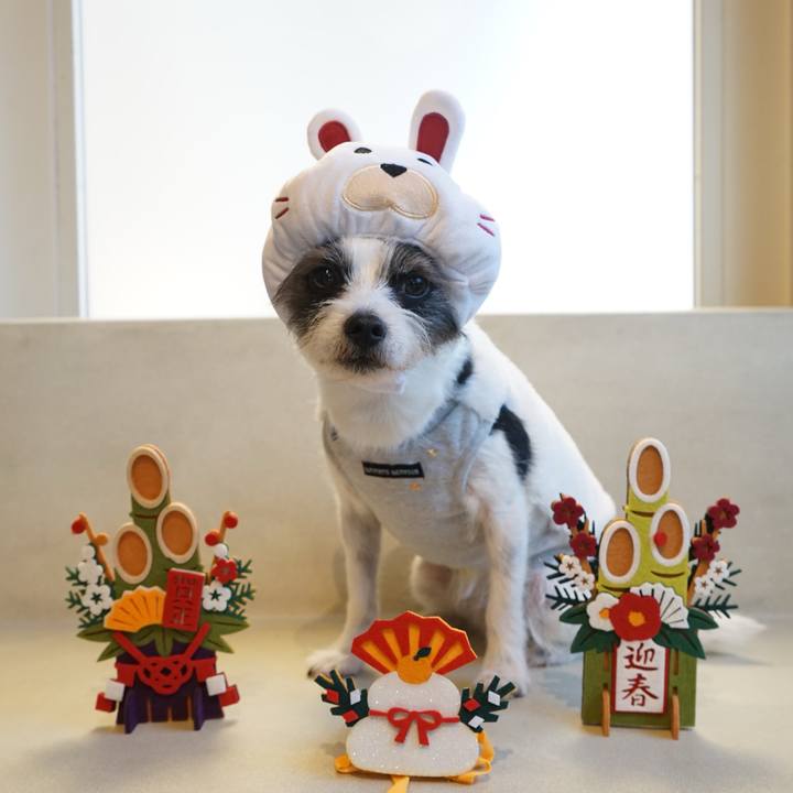 Fda8c17d 6789 43f1 837a 7995db061b7a 1672542104055