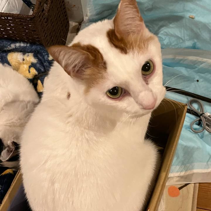 Fda8d80b bdda 4cce 8b3c a4c4236eff1f 1767365954184