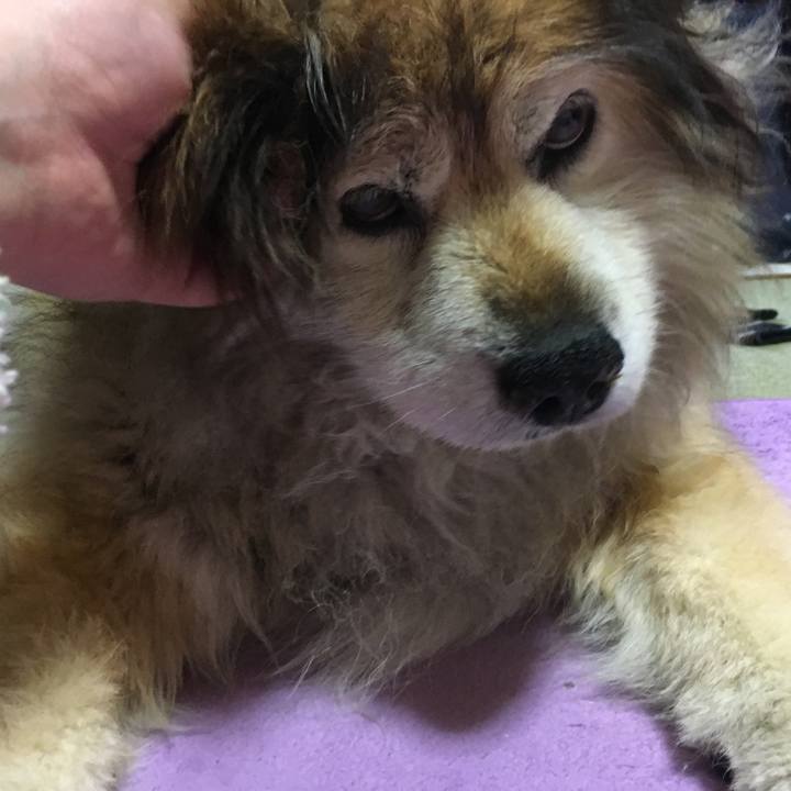 Fda8f217 d1aa 4792 82d6 2161eefb26cf 1613938450714