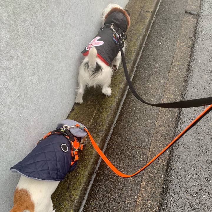 Fda91e1f 70d0 4164 9efc a573acb2752e 1549674917658