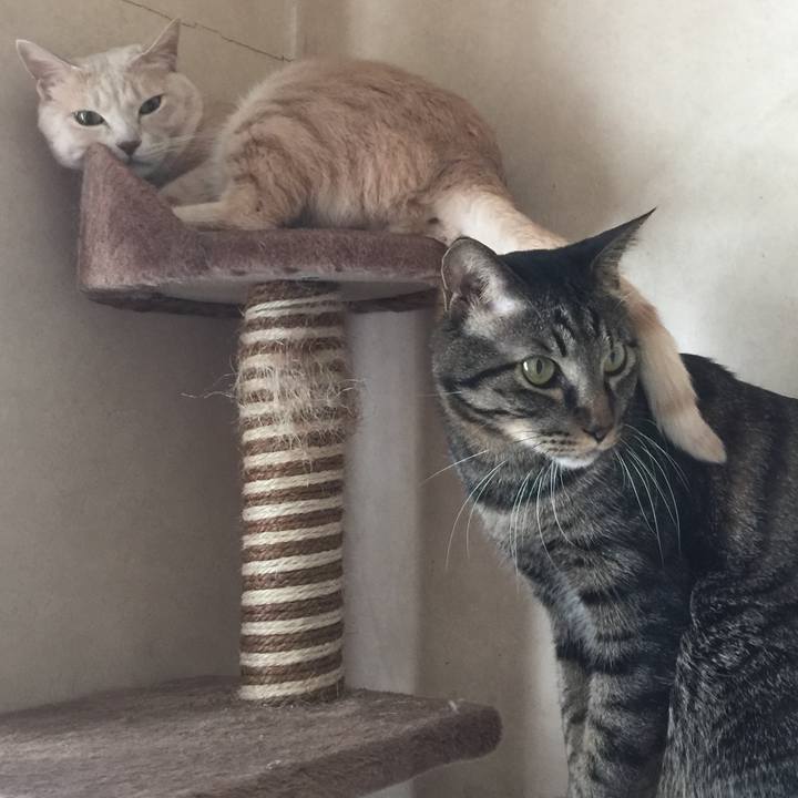 Fda928a3 ad6e 4546 9a08 4f42c84391ac 1513139461455