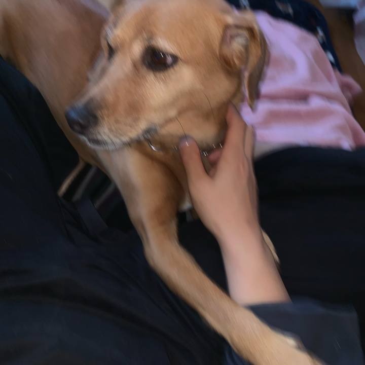 Fda95032 63d0 410b ae33 0bdb87e3f52a 1573421260500