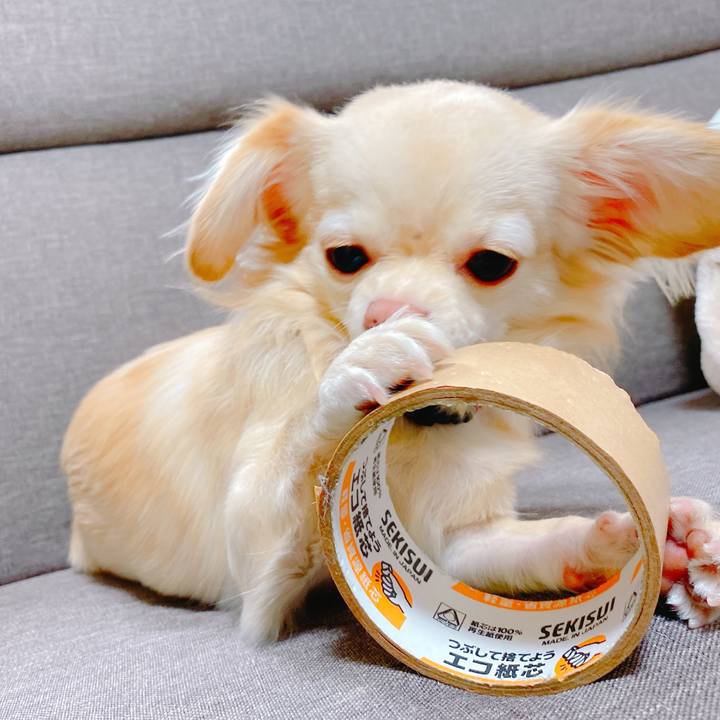 Fda950dc 6757 459e 9817 1340cf4e6feb 1637416440110