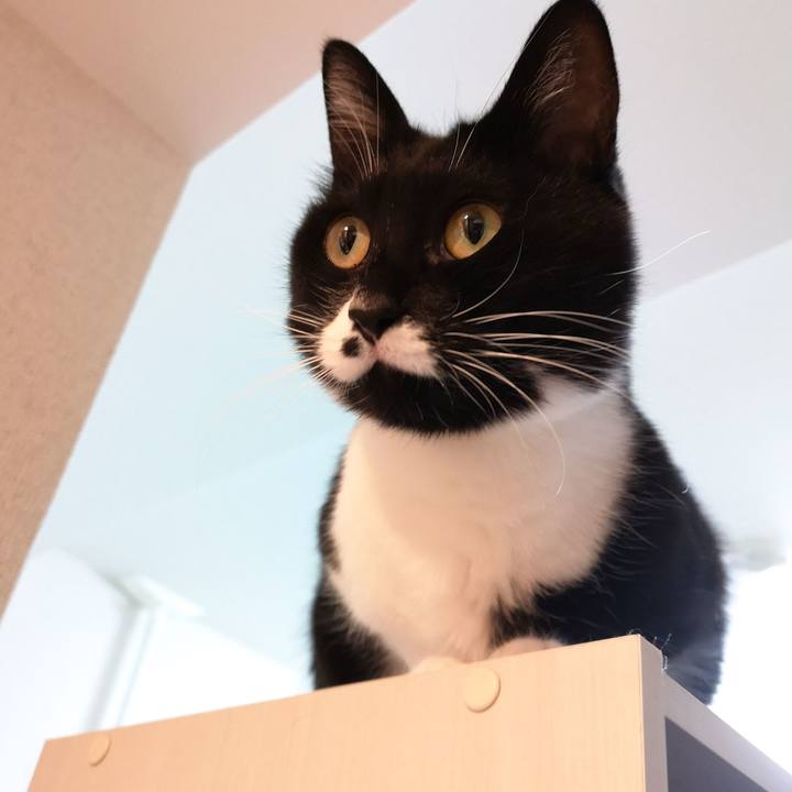 Fda9558f 8441 4f05 9f56 da5e4cbd95c1 1546214621715