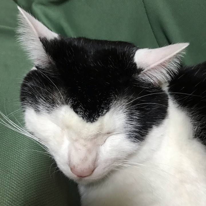 Fda967cf 1cfc 4ce9 b68e f13d8779e90c 1579100711011