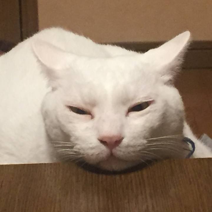 Fda97f62 560e 4d0e 8d3e b7c11ae9ea09 1573484412410