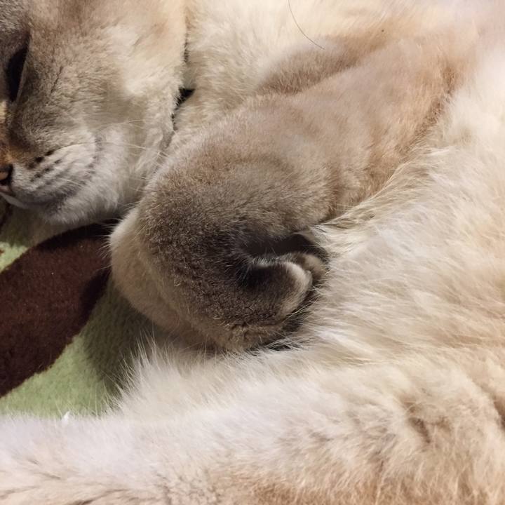 Fda98843 dff2 4165 9162 ce95677e7cd6 1584227990025