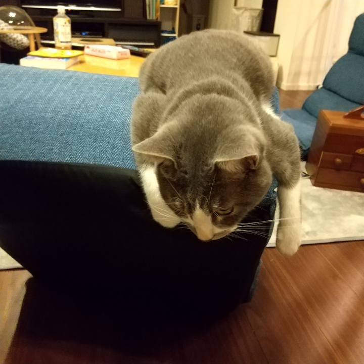 Fda99bcb c7e9 4b00 bf78 18bac56d78ce 1598609918468