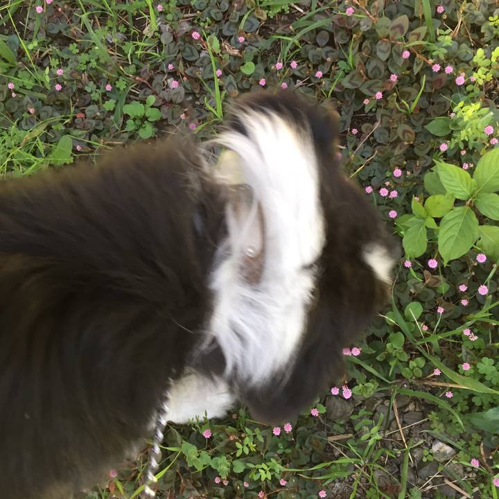 Fda9c4ce 43bb 4d03 b989 542c007aeeb9 1542157160987