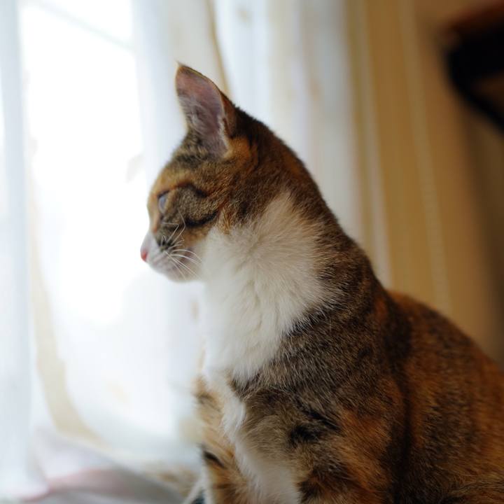 Fda9d432 2905 4114 b4f5 290319175fb5 1582588684223