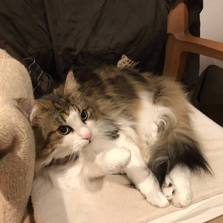 Fda9d4e6 7242 4cc8 95aa cc2f330d9b19 1618415330339