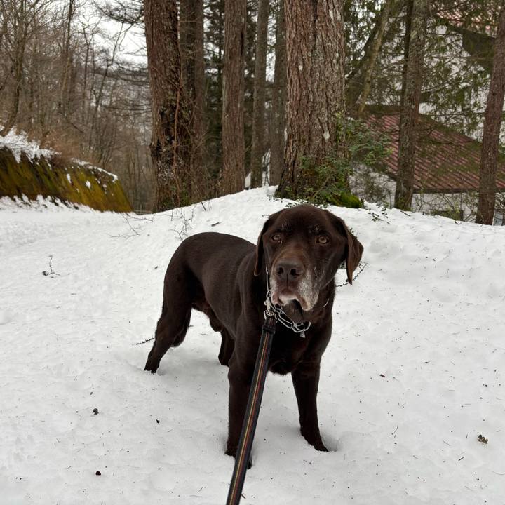 Fdaa15ea aaec 4cc7 8177 8d411eee8b7a 1766409061658