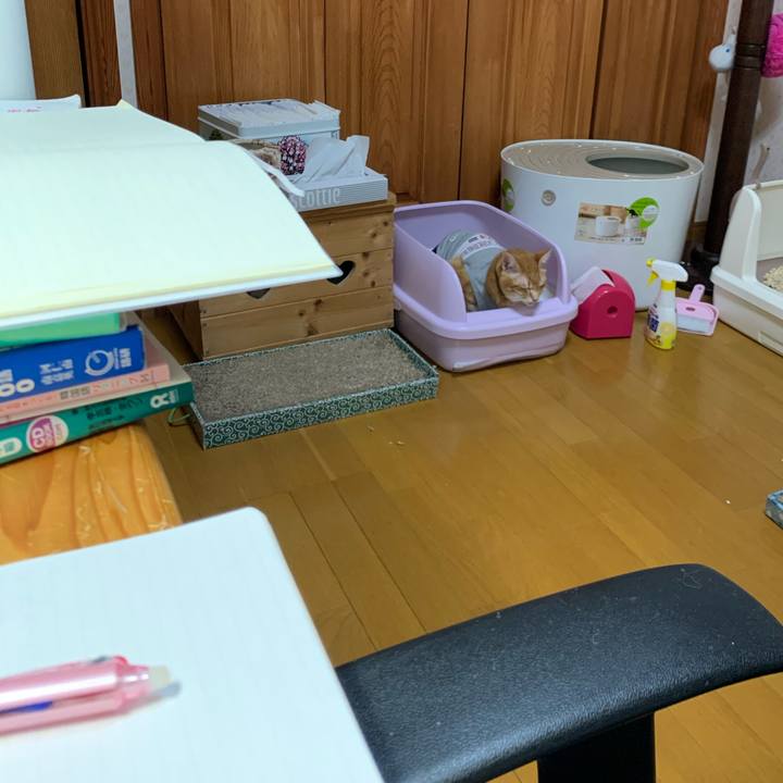 Fdaa17da 598e 4322 9400 c731e91b8846 1610721020082