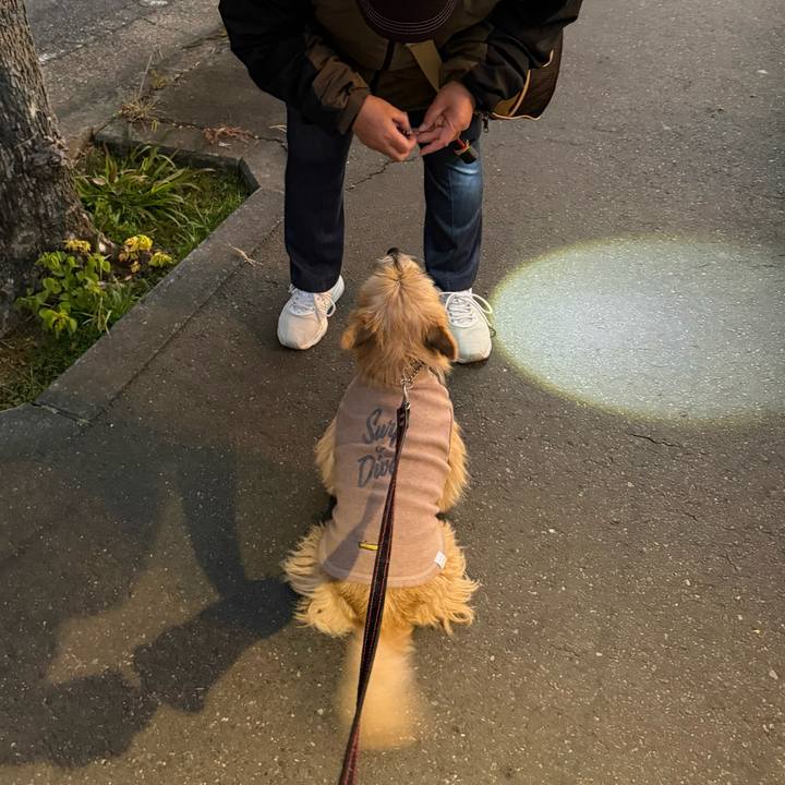 Fdaa4899 0e4b 403c bc0a 58160dc043d4 1764620991721