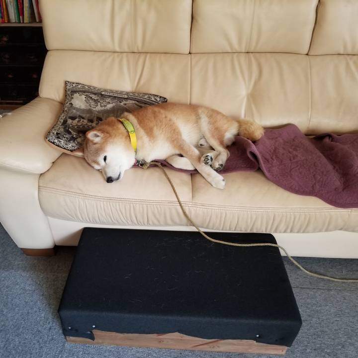 Fdaa5065 5c02 407d 8d2c 0412e7ede3d9 1690942755184