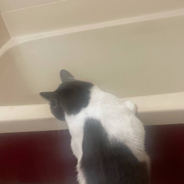 Fdaa7bc5 bca4 4d3c 87be 88e42af55d39 1635428845151