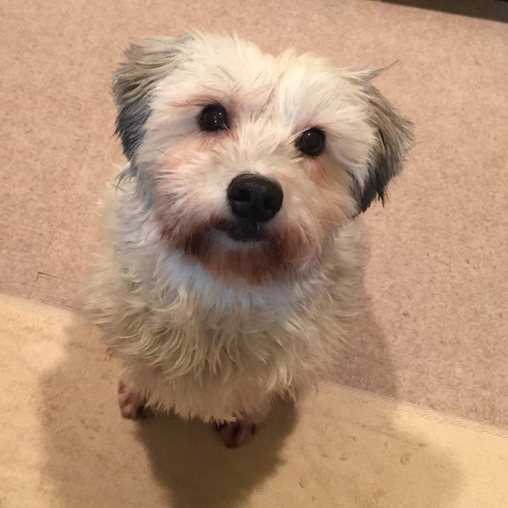 Fdaaa1b7 ed54 4491 9b55 9c6123654b37 1513686290922