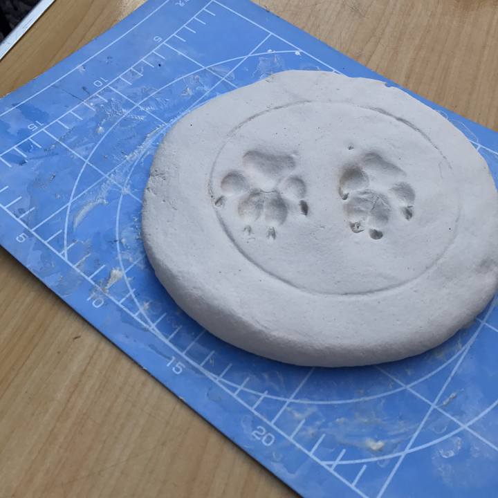 Fdaaa3fa a096 4759 9609 1aa37ef5ed7e 1542383938845