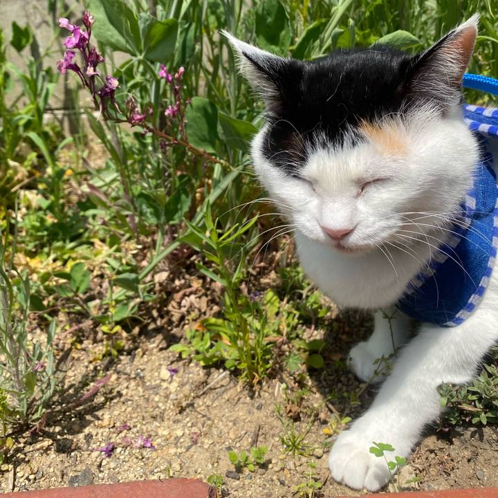 Fdaad1fd bd2e 4d8d a84a 998ed3973c4e 1649566347831