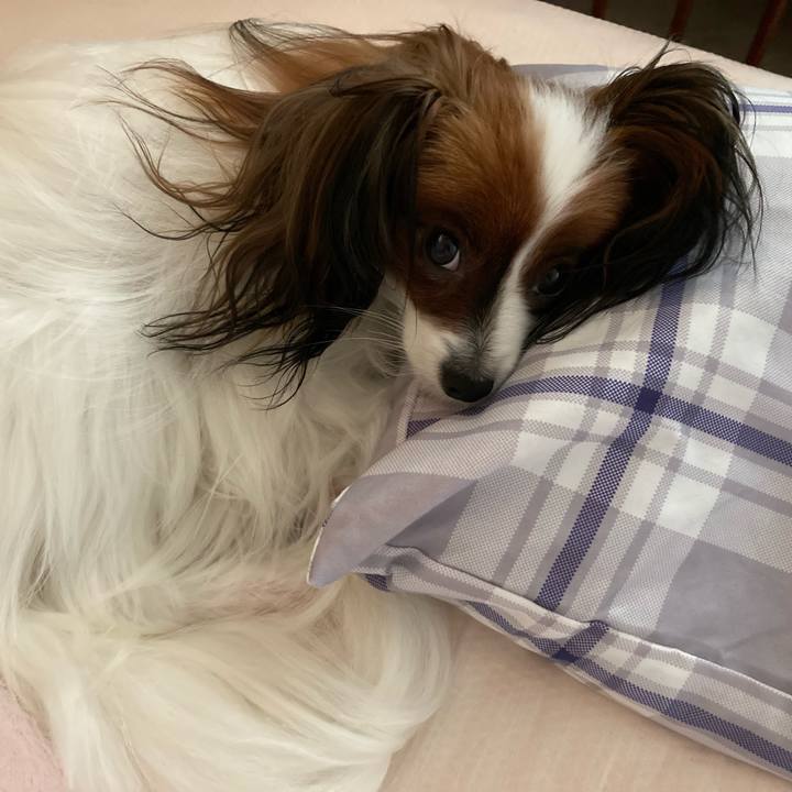 Fdaad50f ebae 489a bd63 e27eb659e9dd 1631312068314