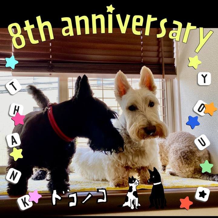 Fdaadbe7 105b 475e 87df 73a7494746db 1717631424126