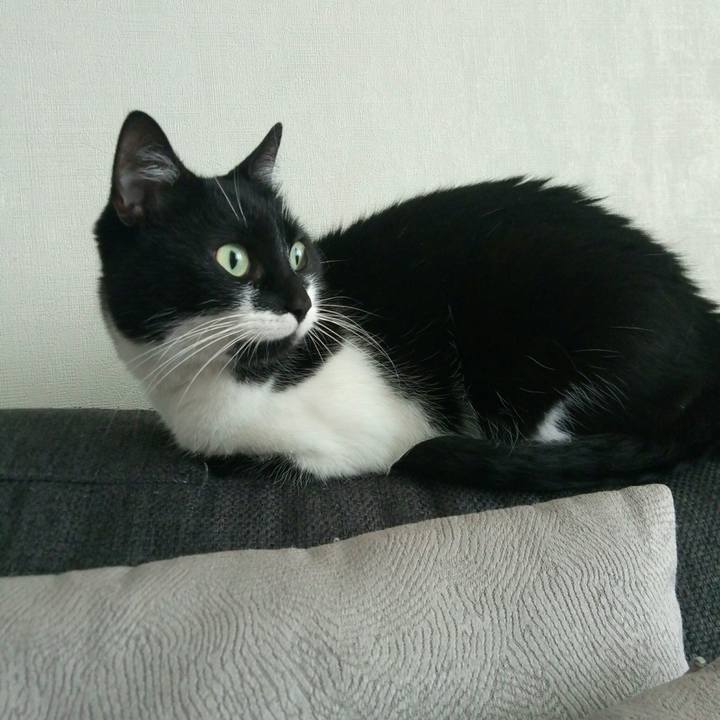 Fdab1bf6 5e77 4425 8688 d864024fdbd4 1526212512494