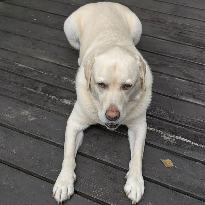 Fdab25b8 3e9d 4097 b040 5cbe48116ceb 1660455189184