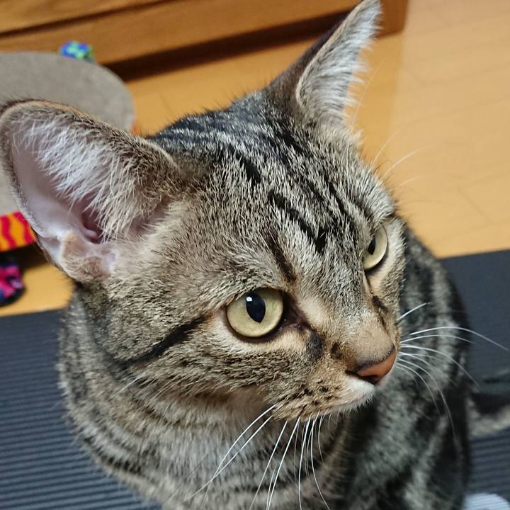 Fdab5381 a64a 45eb 9fab 142ab0be1867 1524313606406