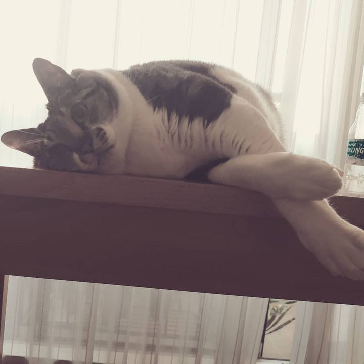 Fdab6ebf 8b5d 4a5d b929 be1264abc079 1584695806648