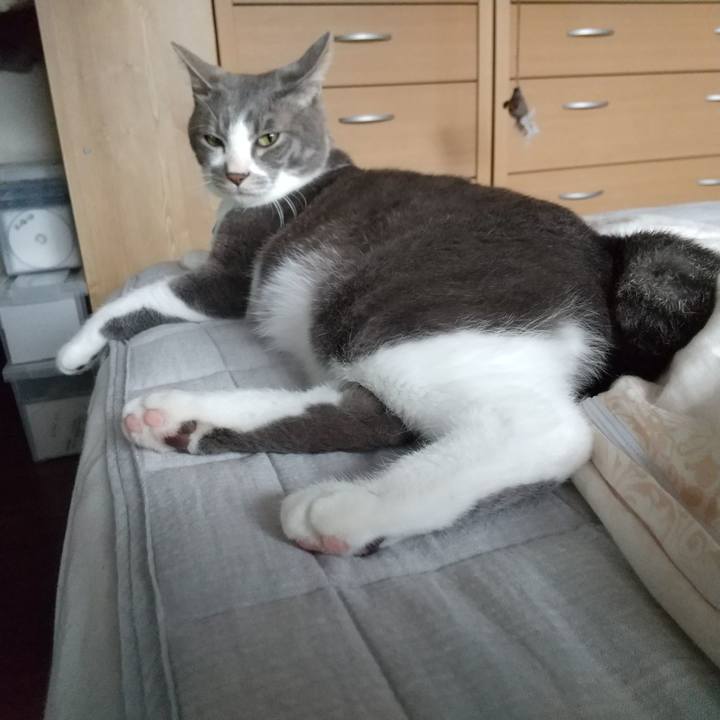 Fdaba0e7 e69e 475c aebe 64b6f162c23f 1619649378968