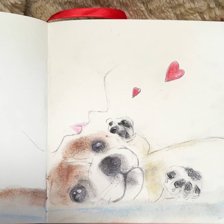 Fdabb374 5485 4aa6 a89b 30a18ca2450e 1589119199307