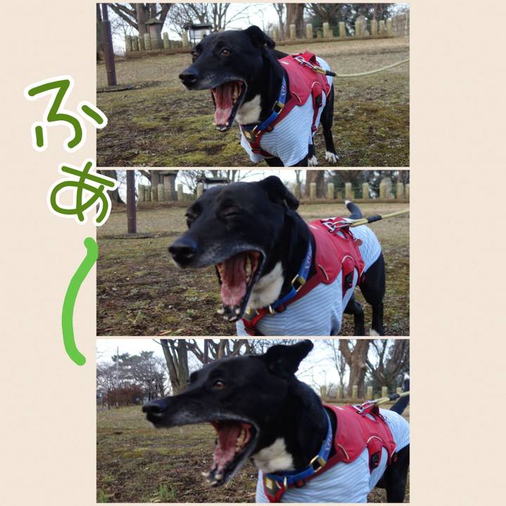 Fdabc96b 3802 487d b965 4cc7a0af291f 1674005006628