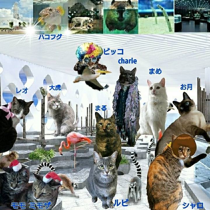 Fdabcb4d 6af2 45a3 85c1 65d9049cb47f 1544331943182