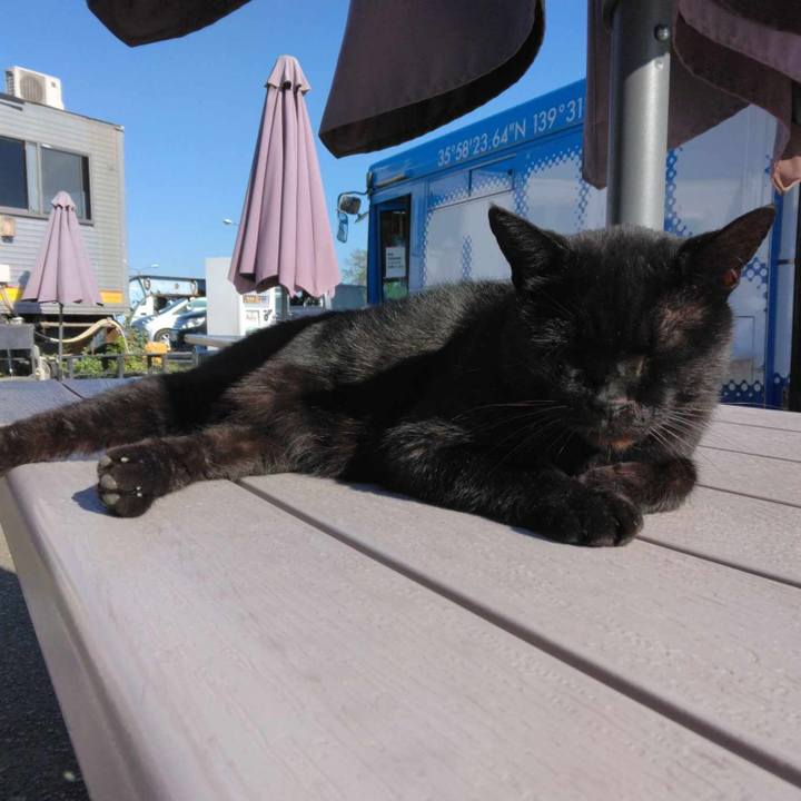 Fdabd71f 5fee 4913 8f3f b74d220786cf 1697158550414